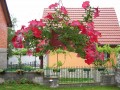 Apartmani Komazec