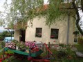 Domacinstvo Tomasevic