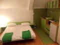 Apartmani Stefanovic Banja Vrujci