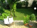 Apartmani Stefanovic Banja Vrujci