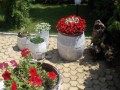 Apartmani Stefanovic Banja Vrujci