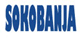 Sokobanja tourist guide